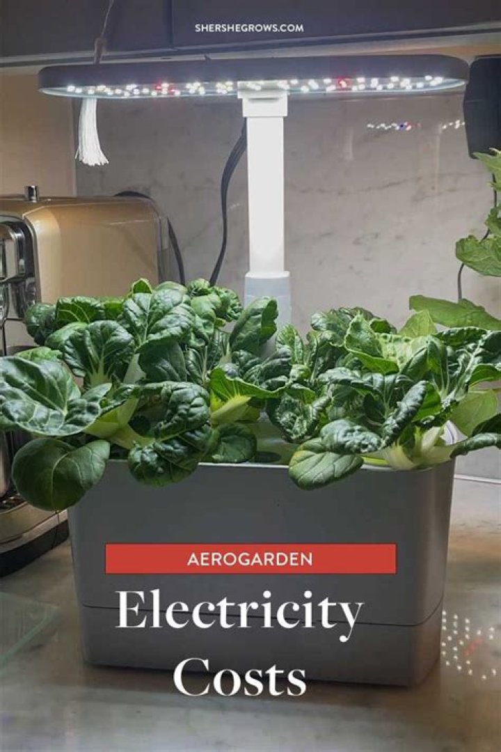 Does the AeroGarden use much electricity?