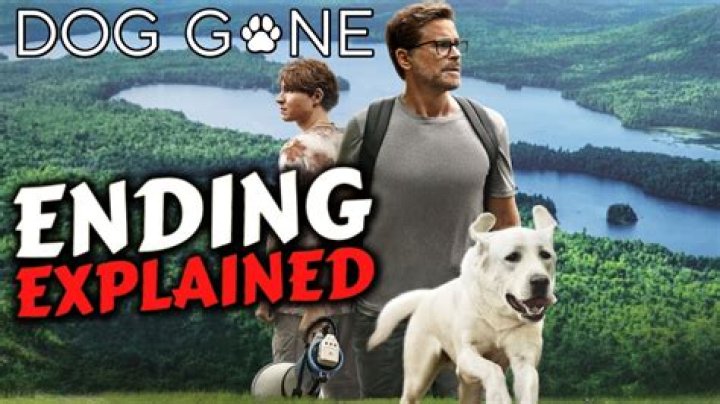 Did Fielding and John find their dog?
