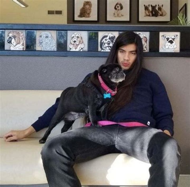 Finn Wolfhard Net Worth, Age, Girlfriend, Family, Biography & More