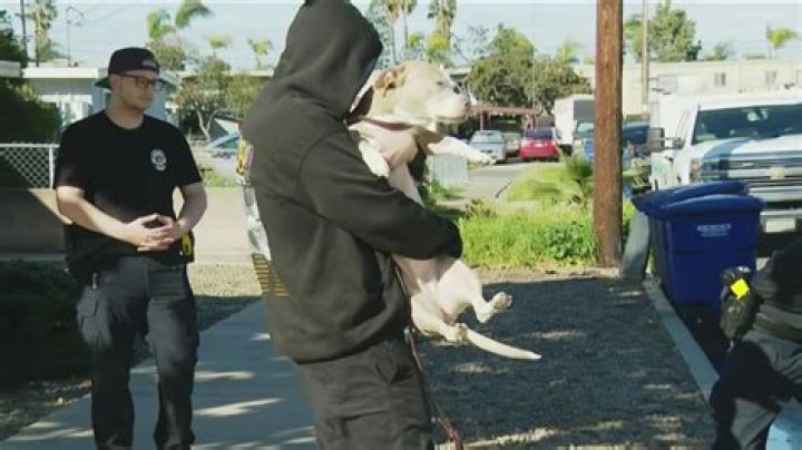 ‘He Didn’t Ask for This’