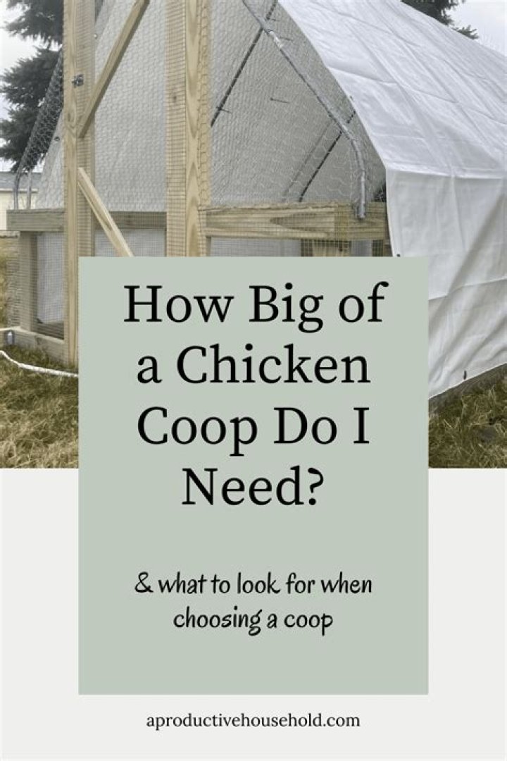 How big of a chicken coop do I need for 10 chickens?