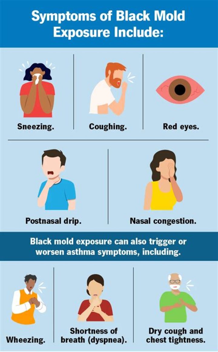 How can black mold affect infants?