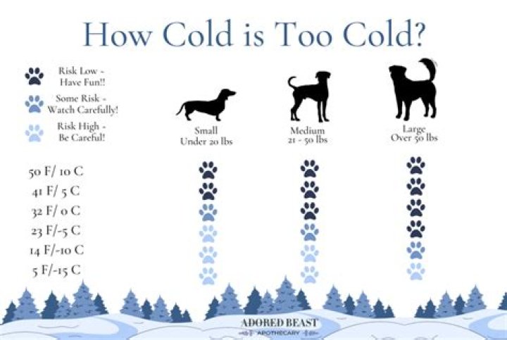 How cold is too cold to give a dog a bath outside?