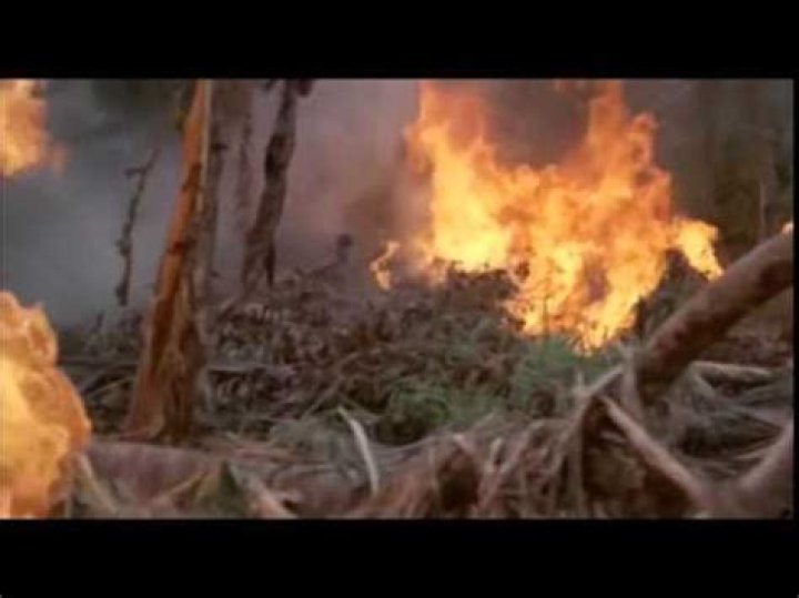 How did Lord of the Flies end?