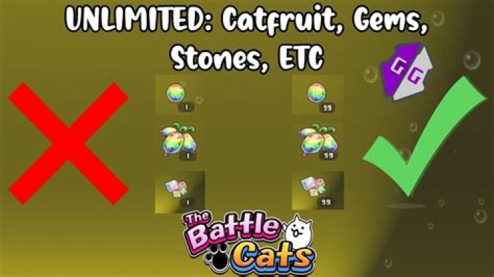 How do I get Catfruit in Battle Cats?