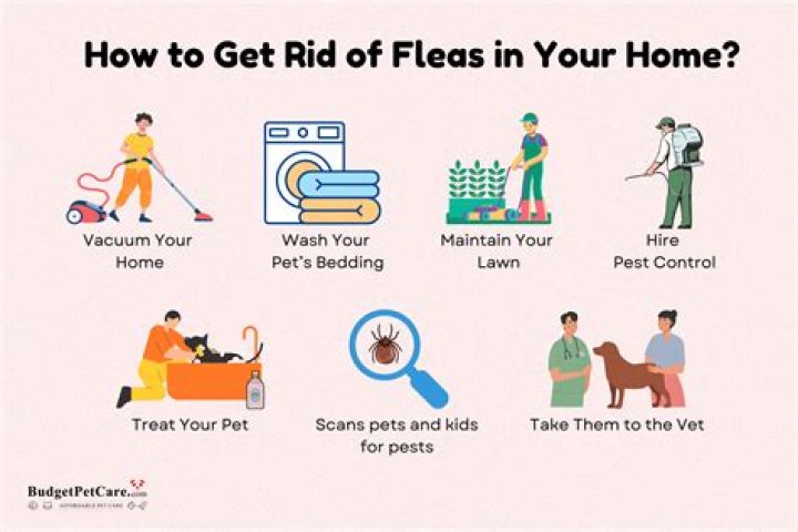 How do I get rid of fleas in my house with hardwood floors?