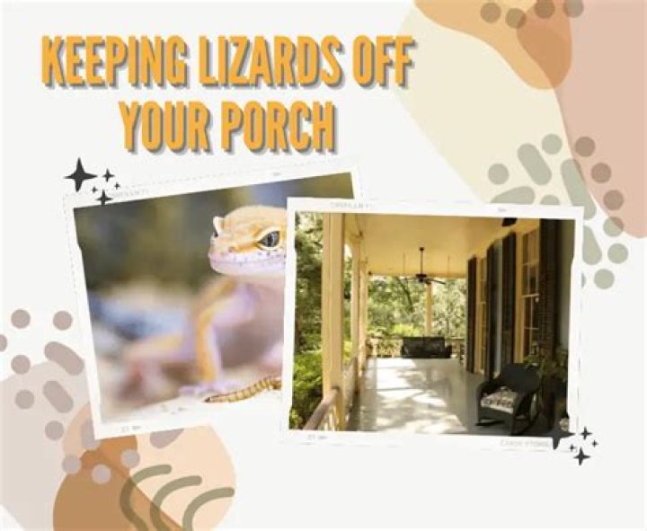 How do I keep lizards off my porch?