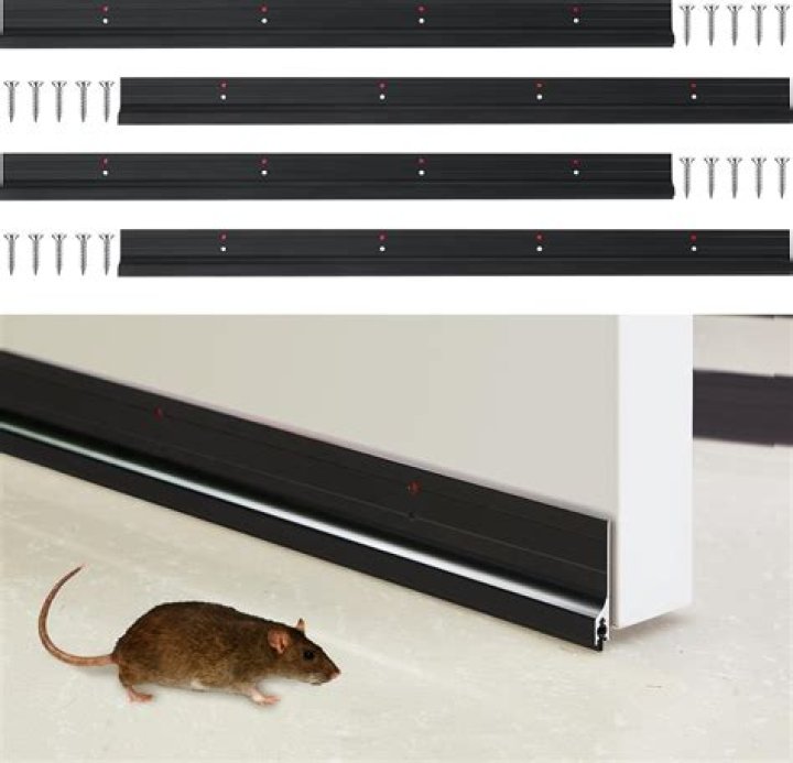 How do I keep mice from coming under my door?