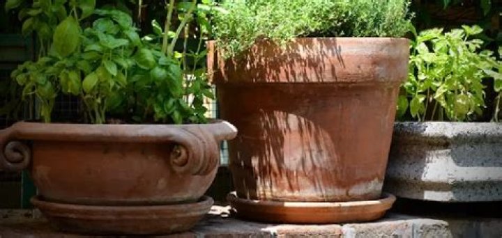 How do I keep my patio plant pots from staining?