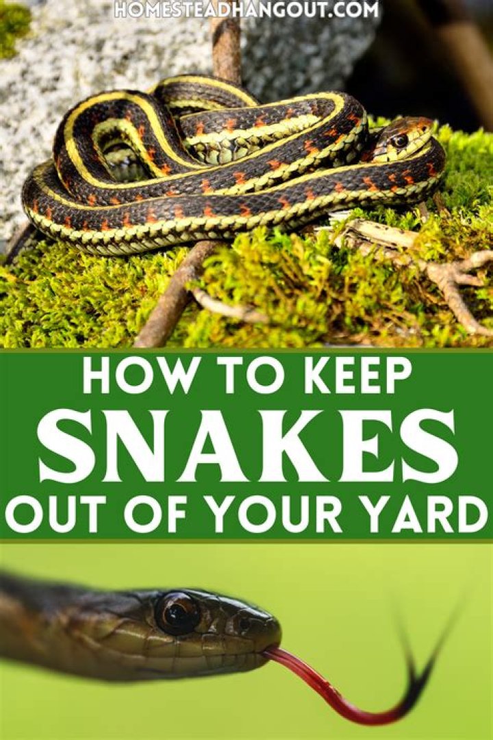 How do I keep snakes away from my pond?