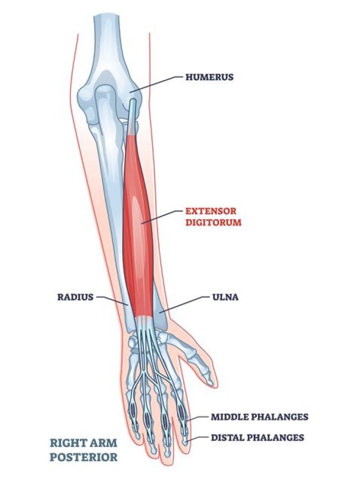 How do I make my fish my default shell?