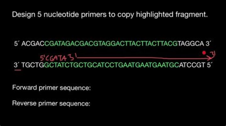 How do I resuspend my IDT primers?