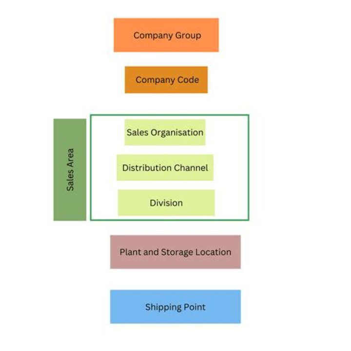 How do you assign a sales org to a plant in SAP?