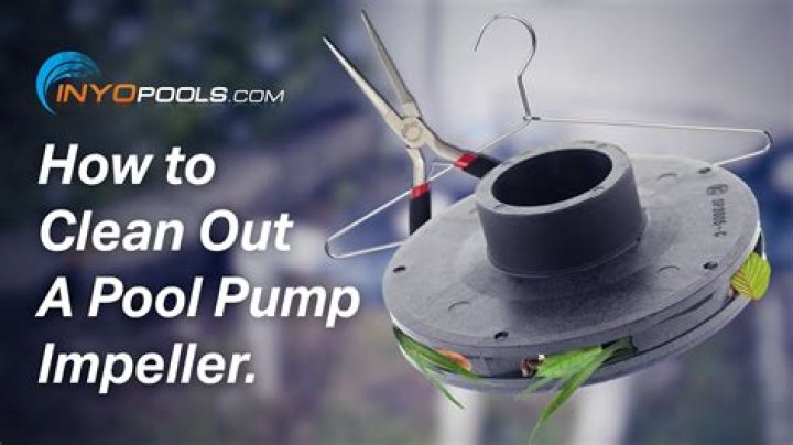 How do you clean a pool impeller?