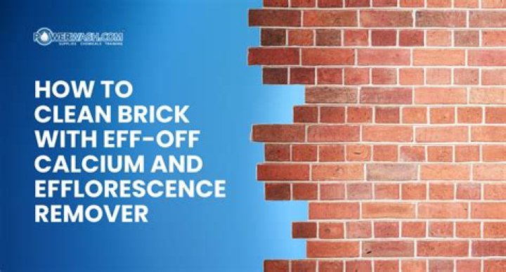 How do you clean efflorescence off bricks?