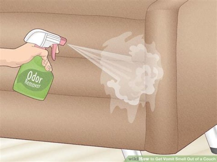 How do you get a beer smell out of a couch?