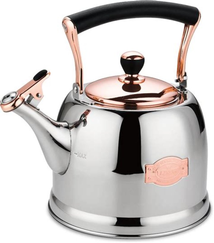 How do you get mold out of a tea kettle?