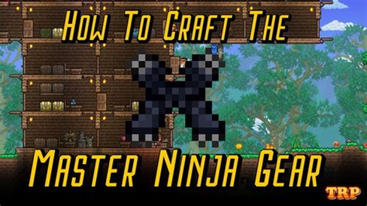 How do you get ninja gear in Terraria?