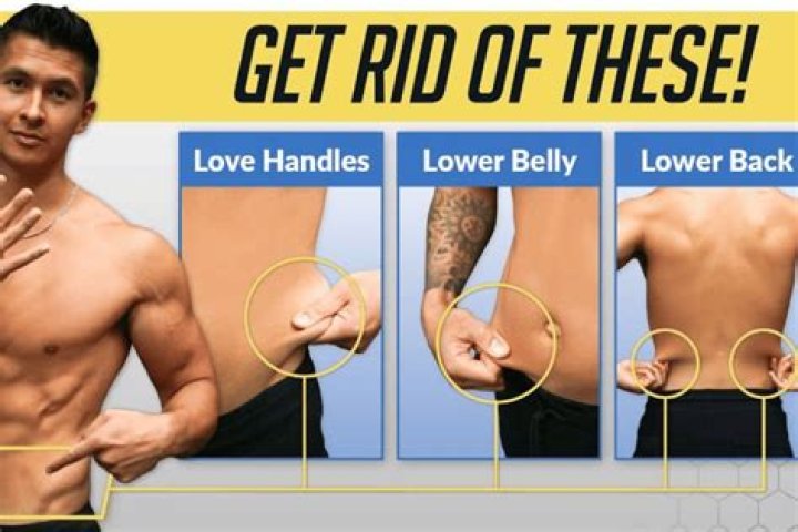 How do you get rid of Holly stumps?