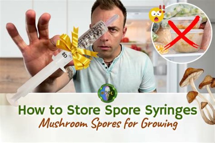 How do you get rid of mushroom spores in carpet?