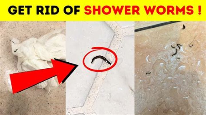 How do you get rid of shower worms?