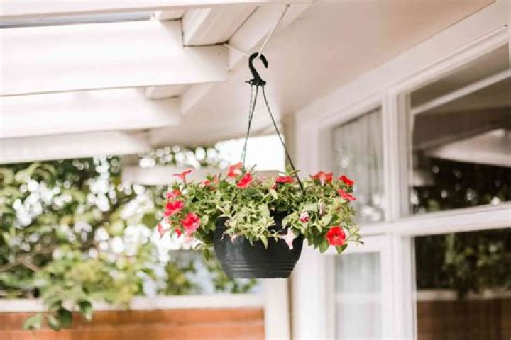 How do you hang flower baskets on a porch?