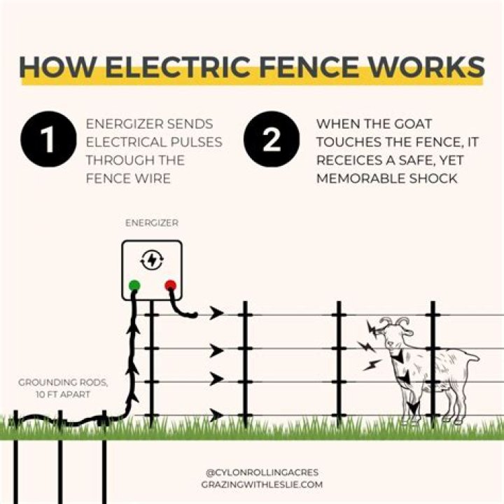 How do you hook up an electric fence to a raccoon?