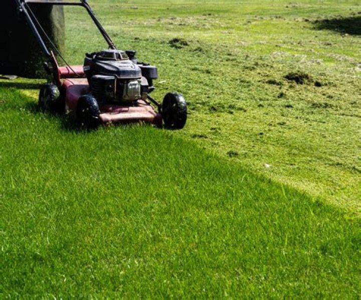 How do you install a mulching plug on a Honda mower?