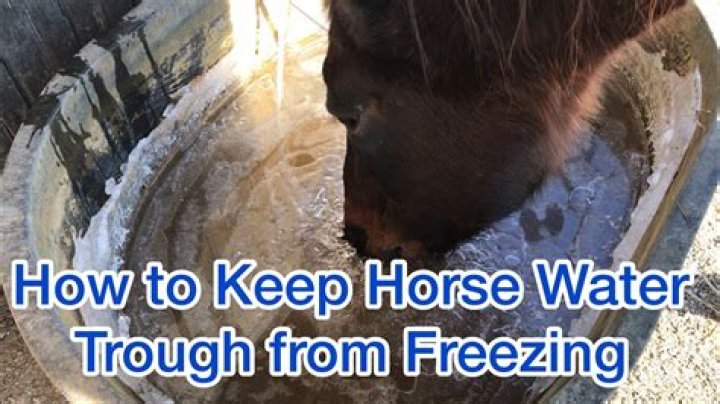 How do you keep a horse’s trough from freezing?