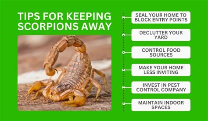 How do you keep scorpions away?