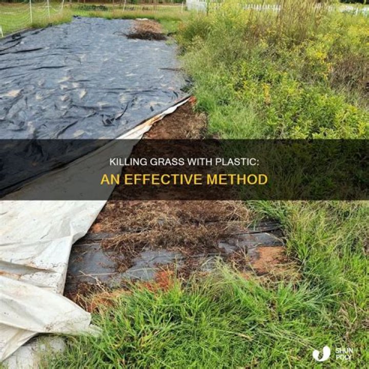 How do you kill grass with black plastic?