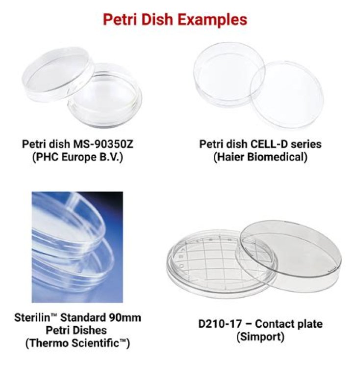 How do you label a petri dish?