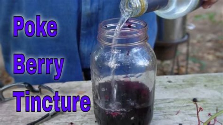 How do you make a poke berry tincture?