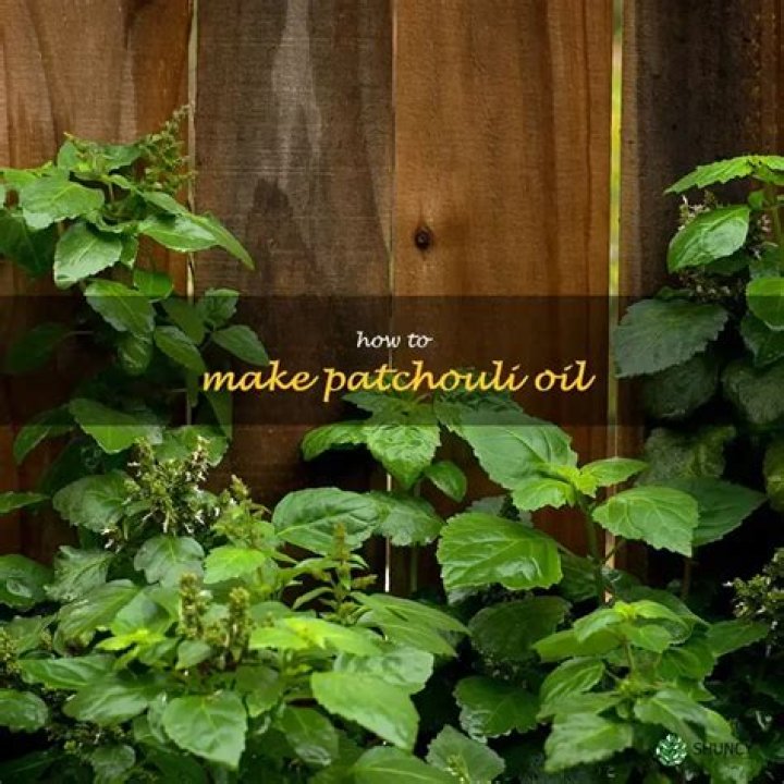 How do you make patchouli oil at home?