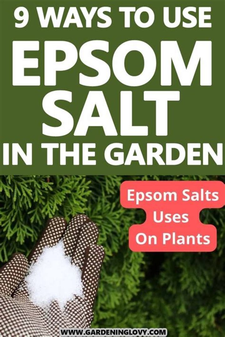 How do you make snow out of Epsom salt?