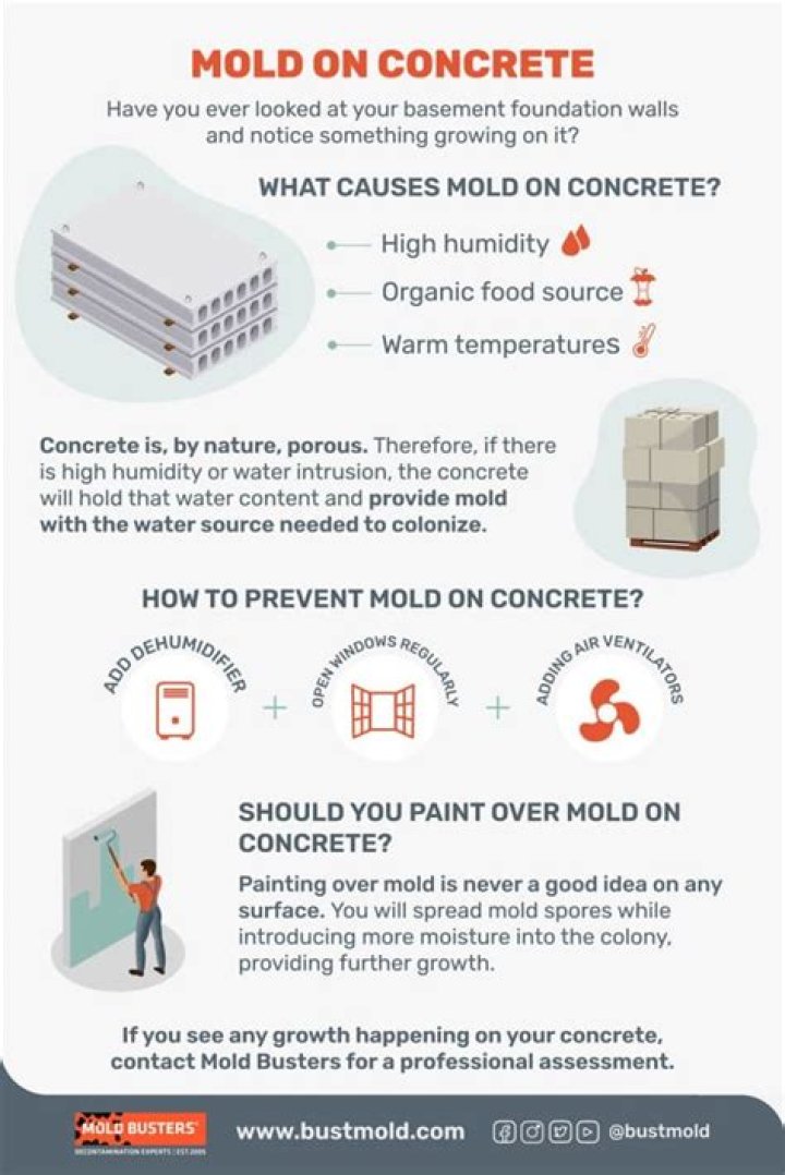 How do you prevent mold on concrete walls?