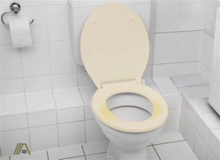 How do you remove scratches from a plastic toilet seat?