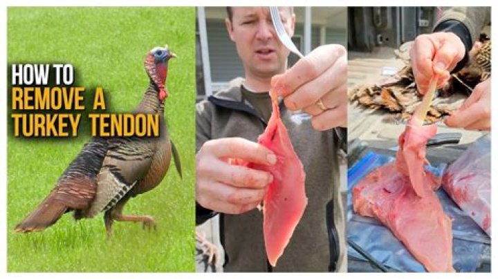 How do you remove tendons from turkey legs?