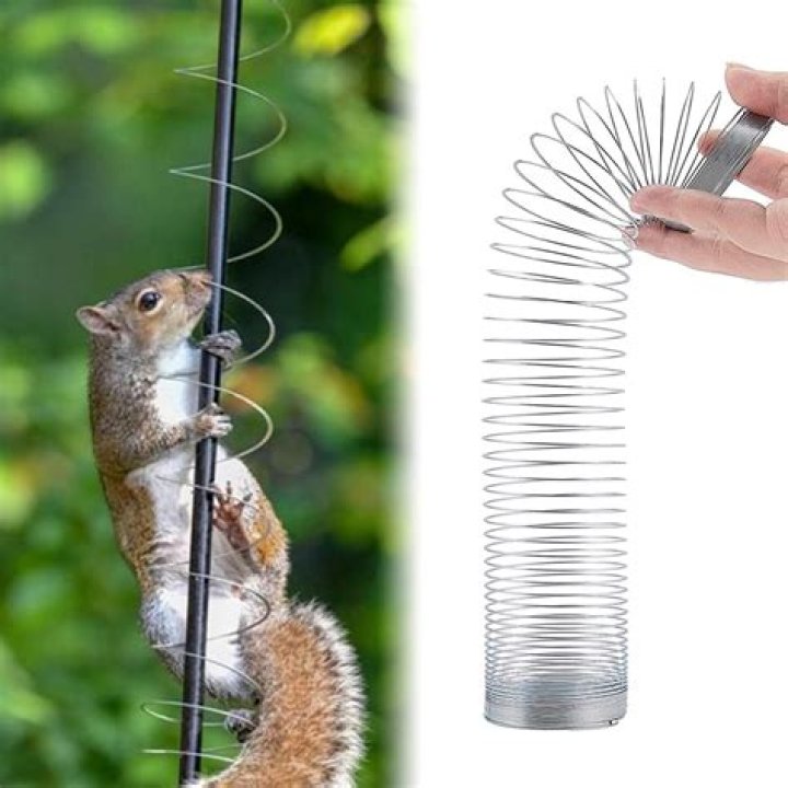 How do you stop squirrels from climbing pipes?