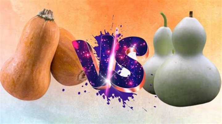 How do you tell the difference between a squash and a pumpkin plant?