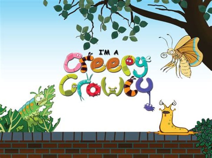 How do you use a creepy crawly?