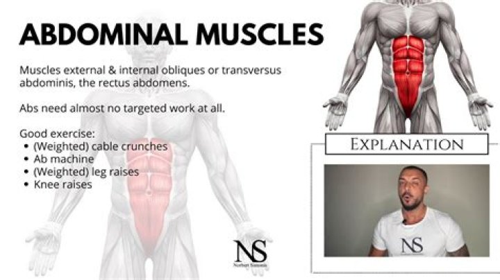 How do you use abdominal in a sentence?