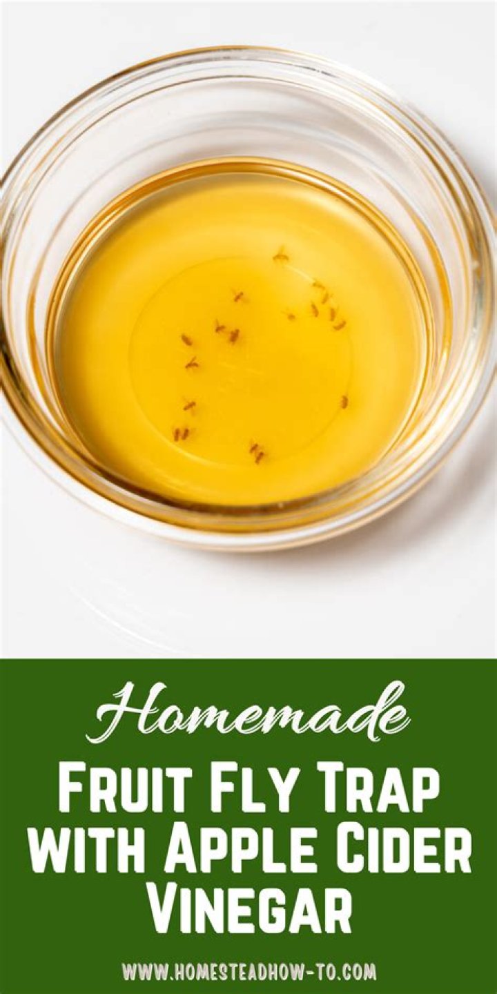 How do you use apple cider vinegar to get rid of scabies?