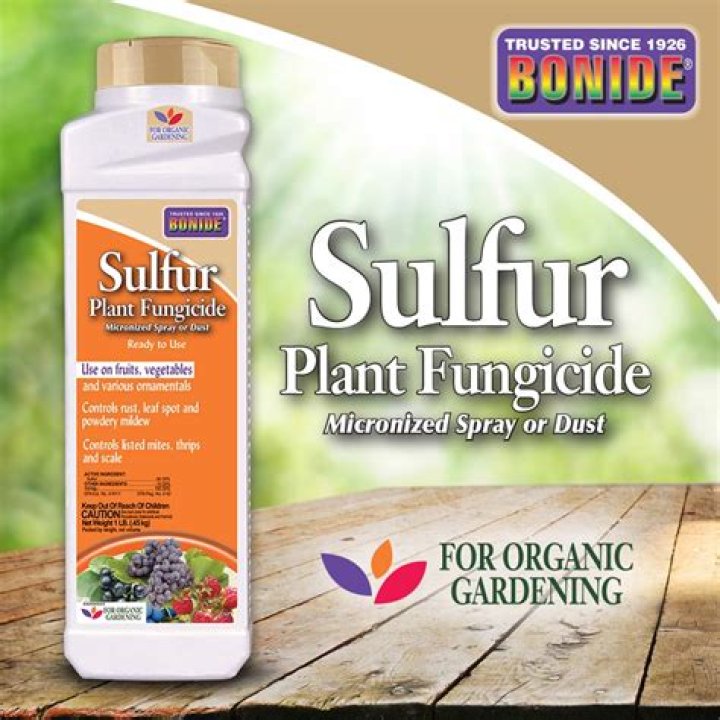 How do you use bonide sulfur plant fungicide?