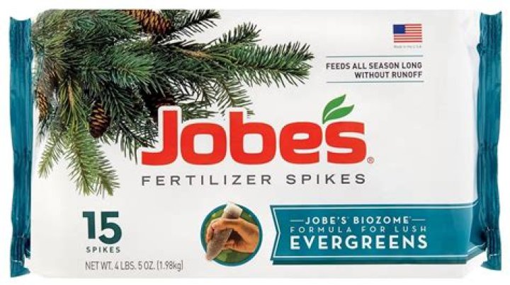 How do you use evergreen fertilizer spikes?
