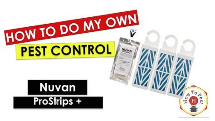 How do you use Nuvan strips for bed bugs?