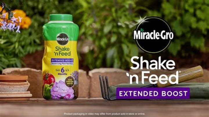 How do you use Shake and Feed?