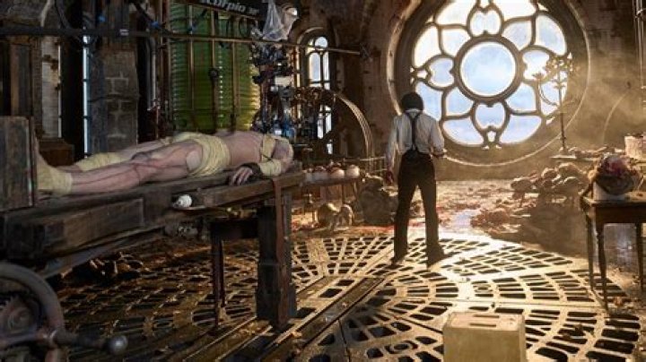 How does Elizabeth come into the Frankenstein home?