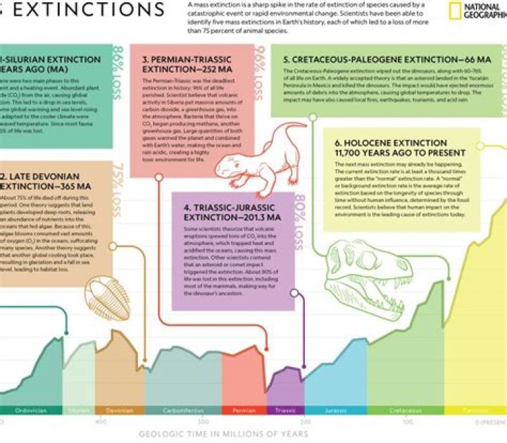 How does extinction of a respondent behavior occur?