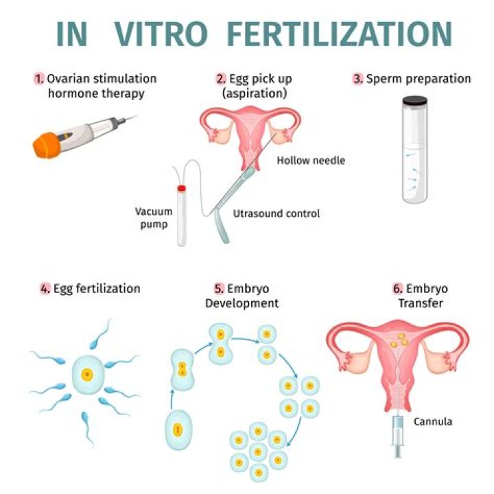How does in vitro fertilization work quizlet?